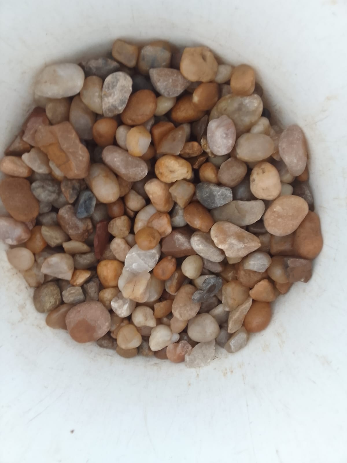 Manutenção de jardim